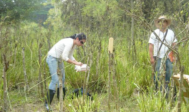 Unidad de Saneamiento y Biotecnología Ambiental - USBA